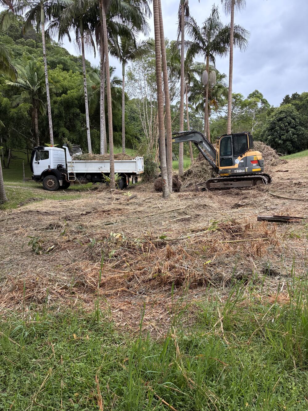 Excavator loading the single axle 4WD tipper on a cleared block lined with palms
